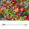 Fruit Picker Tool Telescopic Pole with 3 Claw Harvester Head for Picking High Branch Apples Pears Garden Orchard Harvesting