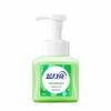 Blue Moon Natural Aloe Vera Foaming Antibacterial Hand Wash
