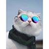 Pet Sunglasses + Anti-Slip Strap Set, Fashionable & Creative Pet Accessories, Multi-Color Universal Pet Glasses, Pet Holiday & Birthday Costume