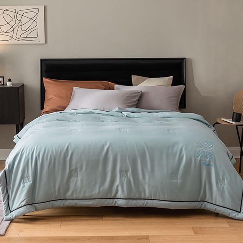 

CHANSI Quick-Dry Summer Air Conditioning Quilt