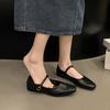 Temperament Single Shoes Women's 2025 Early Spring New Thick Heel Square Head Mary Jane Small Leather Shoes