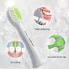 Philips HX2033 C1 Toothbrush Head