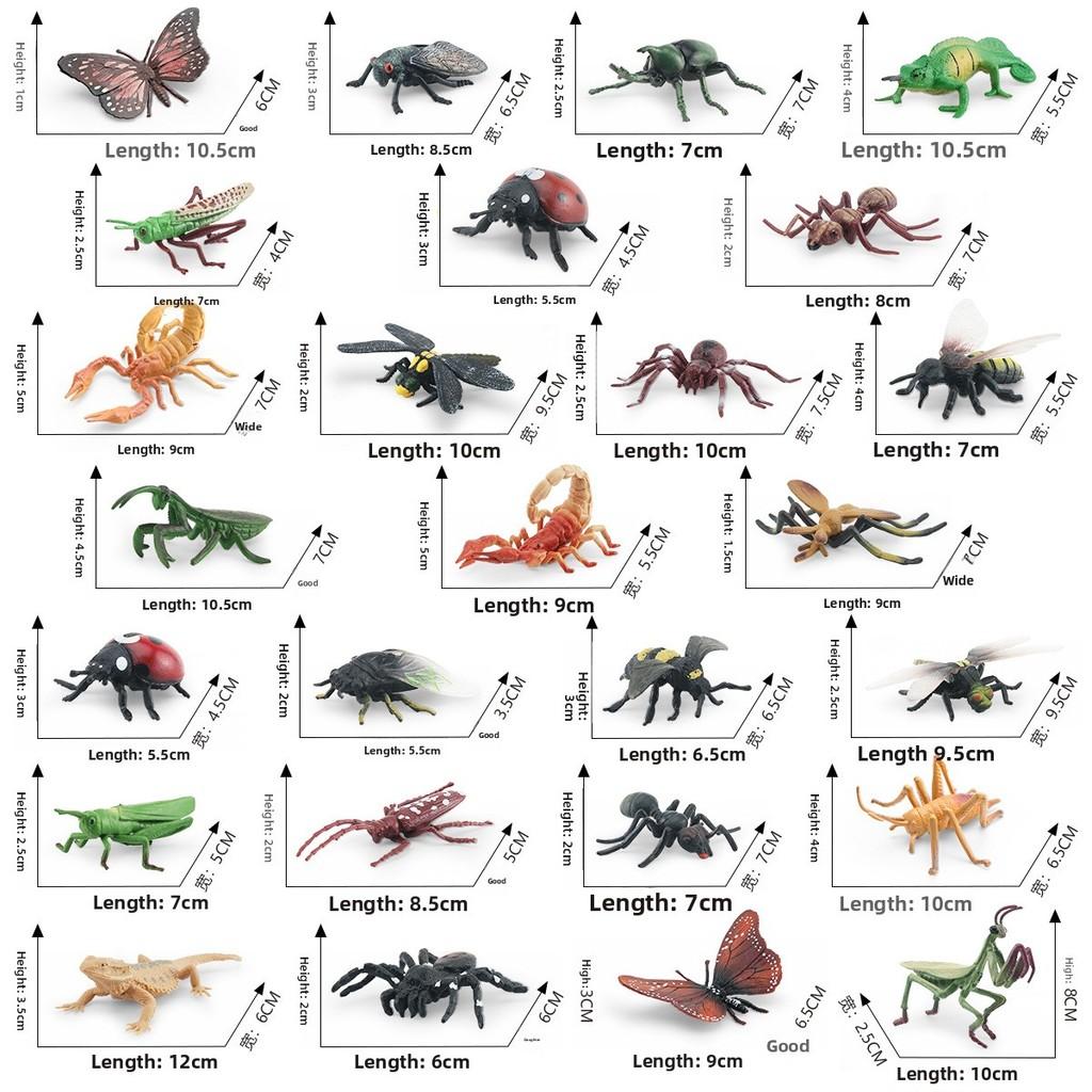 Simulated Wild Insect Butterfly Shoes Spider Dragonfly Model Ornament Set For Educational Displays And Collectors