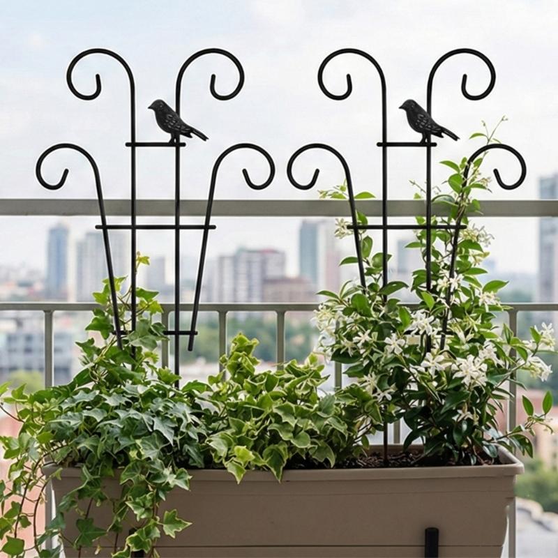 Iron Plant Climbing Support Durability Indoor Plant Trellis For Indoor Outdoor Garden Flower Vertical Growth