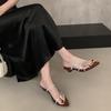 French pointed thick heel strap sandals fairy shoes 2025 new summer with skirt toe silver Roman shoes