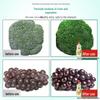 Aomiao Orange Blossom Dishwashing Liquid & Wuchang Rice Bundle