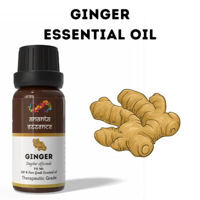 Ananta Ginger Essential Oil 10 Ml – Warm Spicy Aroma Oil for Diffusers, Candles and Home Fragrance