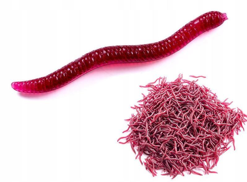 Vermi Artificiali Lombrico Rosso Dendrobena Fango 3,5 Cm 100X
