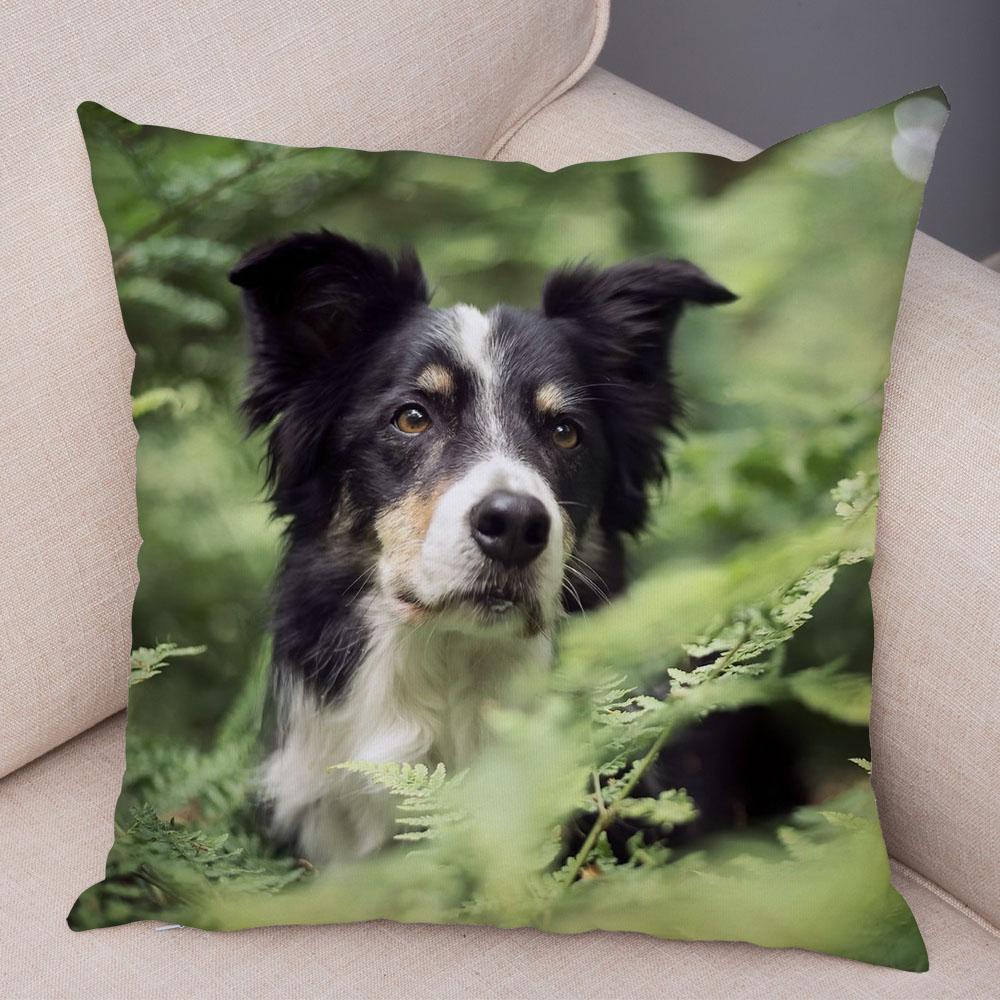 Cute Scottish Border Collie Pillowcase Dog Print  Decor Pet Animal Cushion Cover Sofa