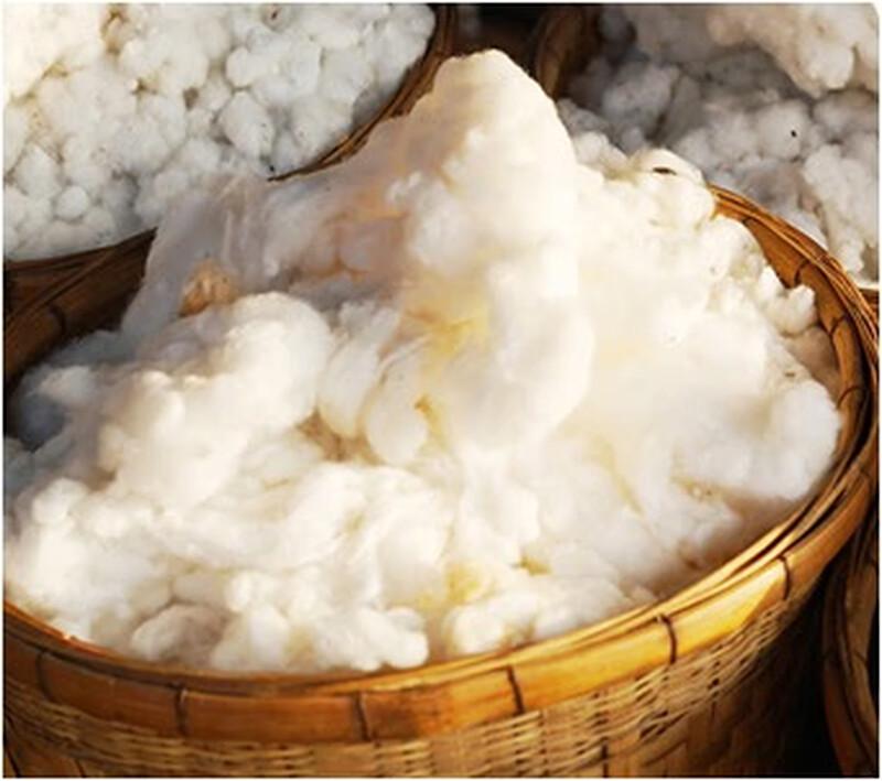 Grace Nano Pearl Fiber Winter Warm Quilt