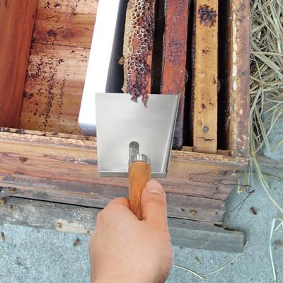 1PC Beekeeping Stainless Steel Pollen Shovel Clean Honey Extractor Flat Hive Clean Scraper Equipment Beekeeper Professional Tool