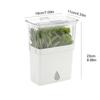 Large Capacity Vegetable Keeper Plastic Herb Lettuce Keeper  Prolongs Produce Life