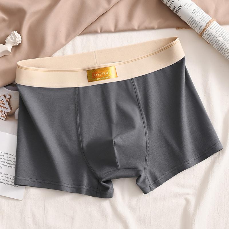Luxury Men Underpants Man Cotton Breathable Comfortable Boxer Selling Shorts Men's Panties Plus Size Panties Underwear Gift