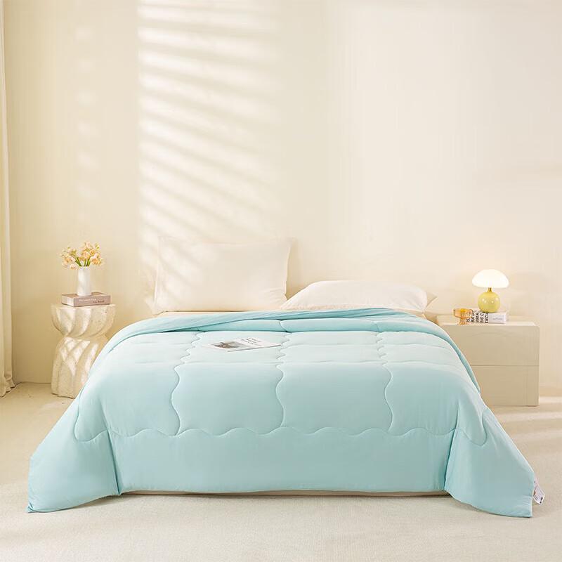 

SANSAN Ultra-Soft Milk Foam Soybean Fiber Winter Quilt