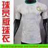 2026 World Cup Jerseys Senegal Football Jers