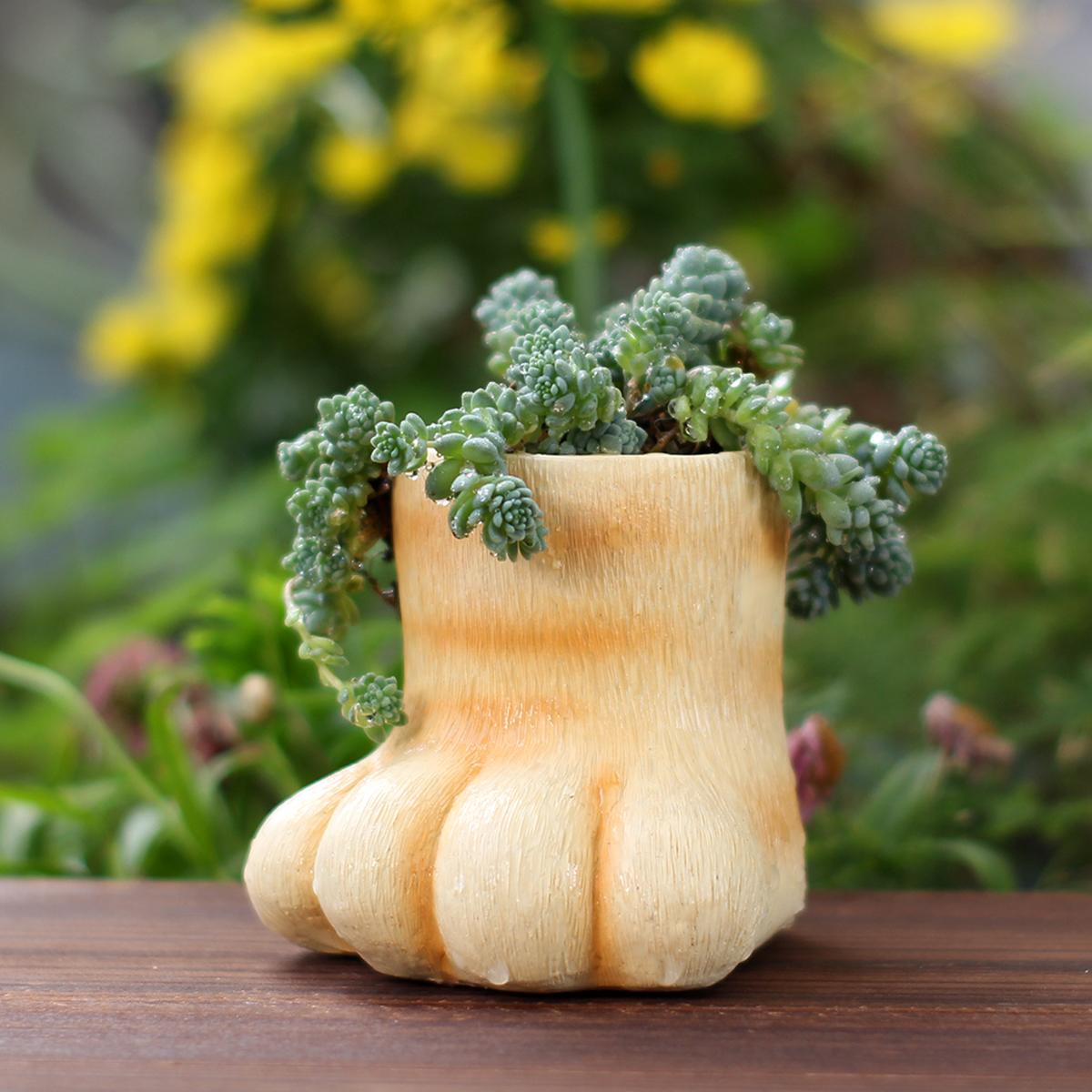 1 cat paw shaped flowerpot, cute windowsill succulent flowerpot, office desk decorative flowerpot