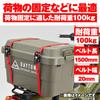 Daytona Motorcycle Lashing Set of Ratchet 100kg Load 20mm Loop 42067 Belts, 2, Type, Capacity, Wide, Type, Red,