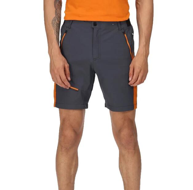 Regatta Highton Pro Shorts