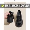 12Cm inner height increase leather platform women's 2026 new spring and autumn versatile British style small leather shoes JK single shoes