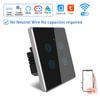 Graffiti EU Smart WiFi Touch Switch with Alexa Voice Control