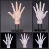 Super Movable 1:1 Hand Model, Finger Joint, Bionic, Painting Plain Art, Model Ornament Boxed Figure