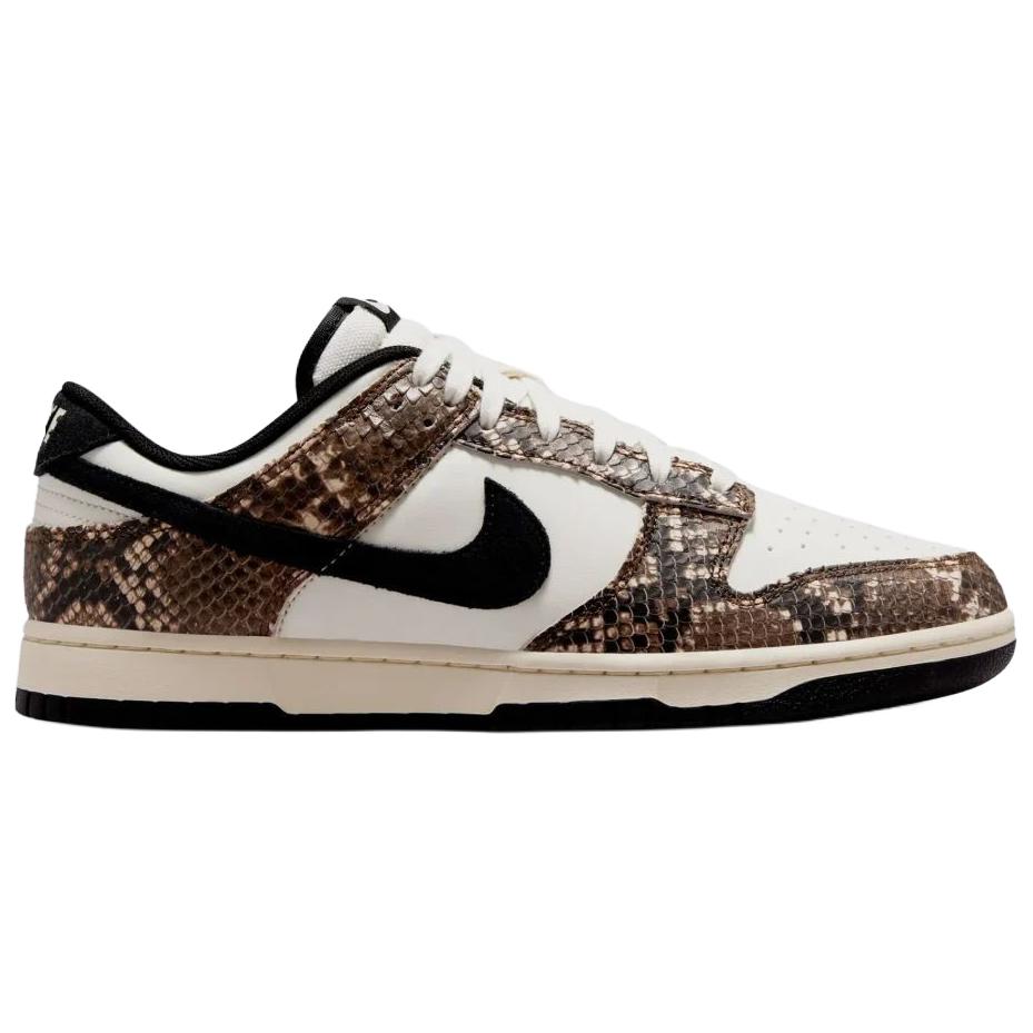 Nike Dunk Skateboard Shoes Unisex Dark Brown IO1616-002