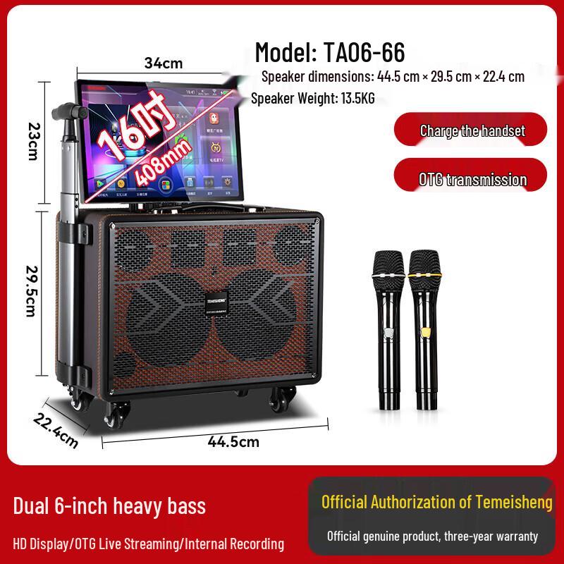TEMEISHENG TA06 Portable KTV Speaker System with Screen CN Plug (adapter Included)