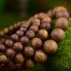 Exquisite Hainan Agarwood Bracelet: Unisex 10mm Single Loop with 19 Fragrant Round Beads (Limit One Per Customer)