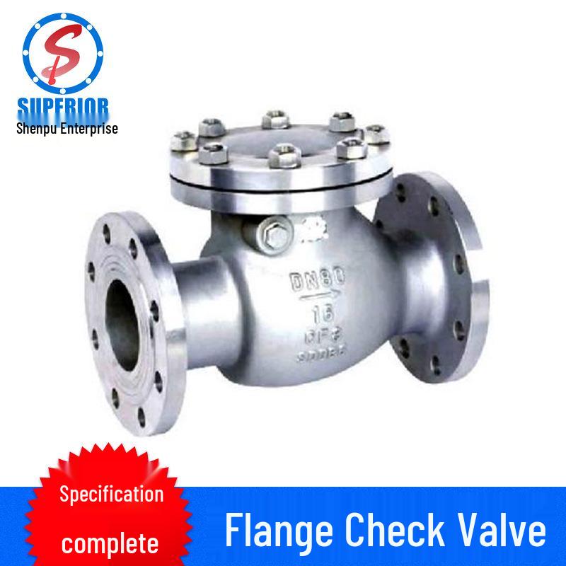 Sanitary Grade Stainless Steel Flanged Swing Check Valve
