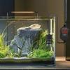 Mini Aquarium Heater Fish Tank Aquatic Heater Submersible Thermostatic Heater Adjustable Temperature 18-34°C Suitable for 2L