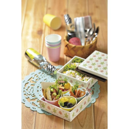 Miyamoto Sangyo Arte Double Wall Lunch Box, Apple, 4512951113891