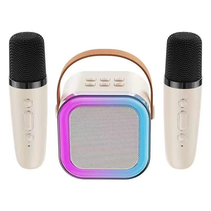 All-in-One KTV Bluetooth Karaoke Speaker with Wireless Microphone for Kids