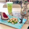 Fun Japanese beach shark ceramic sushi serving plate with soy sauce rack, fruit storage, exquisite table decoration tableware