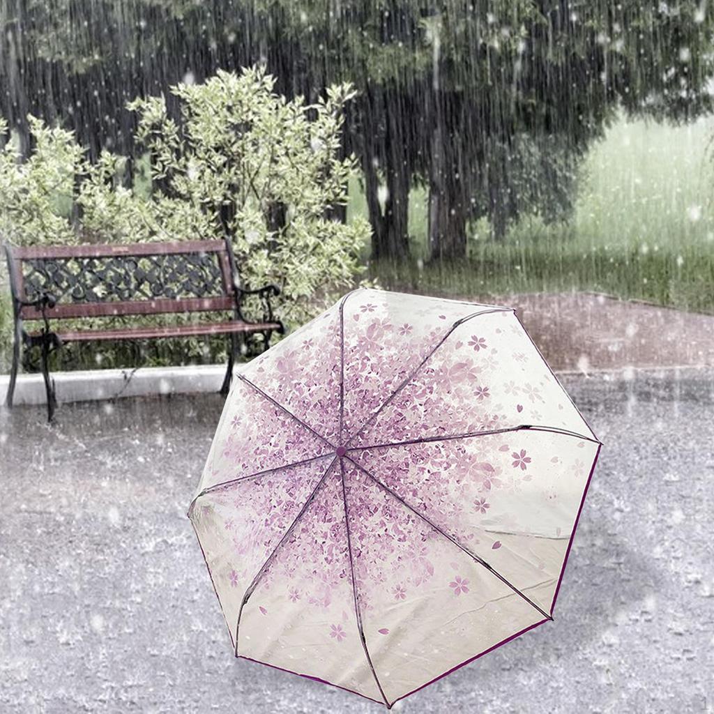 Clear Bladder Screen, Transparent Umbrella, Sweet, Light Women's Dome Foldable Umbrella for