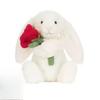 New JC Plush Toys: Love Series; Rabbit Series; Roses; Dragon Series; Turtle Series; Bear Series; Clover and Other Dolls2026