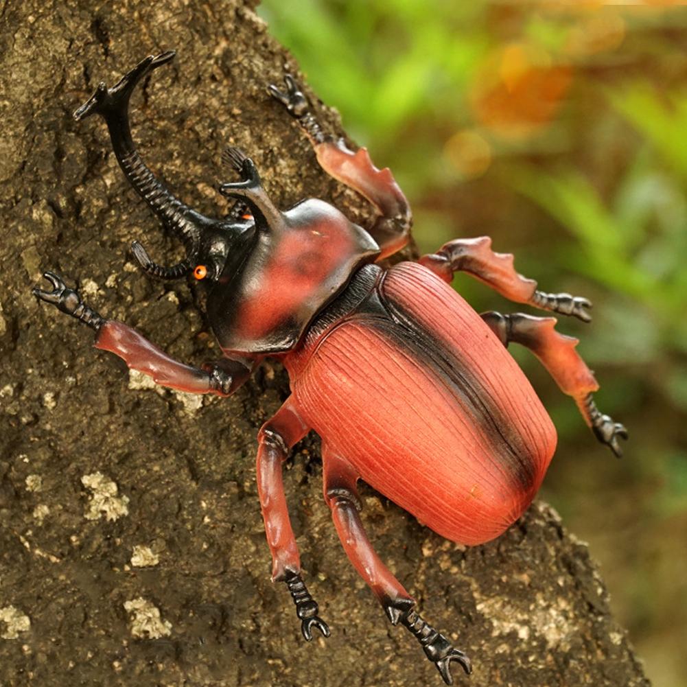 Wild Large Insects Realistic Spider Scorpion Dragonfly Beetle Models - Educational Toys For Kids Gifts For Kids Adults Children's Birthday Gift