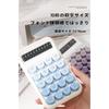 Cute Colorful Calculator 12 Digits Stylish Computing Device Mini Non-slip Round Buttons Large Display Students Stationery Lightweight Portable Easy