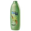 Rejoice Aloe Anti-Itch Moisturizing Shampoo