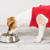 Pet Vest Dog Winter Sleeveless Sweater Soft Warm Fabric Ideal for Cold Weather Walks D-Ring Attachment Small Medium Sizes