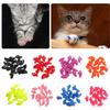 20pcs Silicone Soft Cat Nail Cap Cat Paw Claw Pet Nail Protector Cat Nail Cover Pet  Protector Kitten Cat Pet Products