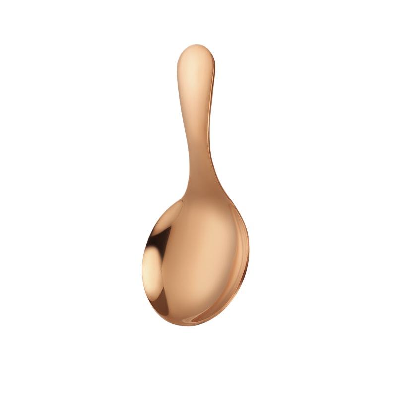 Roztomilá nerezová lžička s krátkou rukojetí zlatá na zmrzlinu, čaj, kávu, dětská lžička, kuchyňská kořenka, naběračka na koření