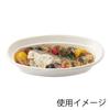 [Case Sale] HEIKO Paper Plates, Commercial Bagasse Curry Plates C, NCP230 004477050, 1 Case (50 Plates X 16 Bags, Total 800 Plates)