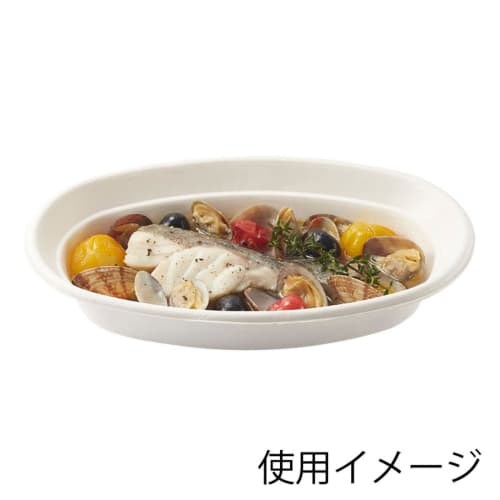[Case Sale] HEIKO Paper Plates, Commercial Bagasse Curry Plates C, NCP230 004477050, 1 Case (50 Plates X 16 Bags, Total 800 Plates)