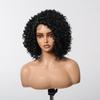 ALAN EATON  13x1  Lace Front Wig Black Short Deep Curly Wigs for Black Women Hair Daily Party High Density Heat Resistant
