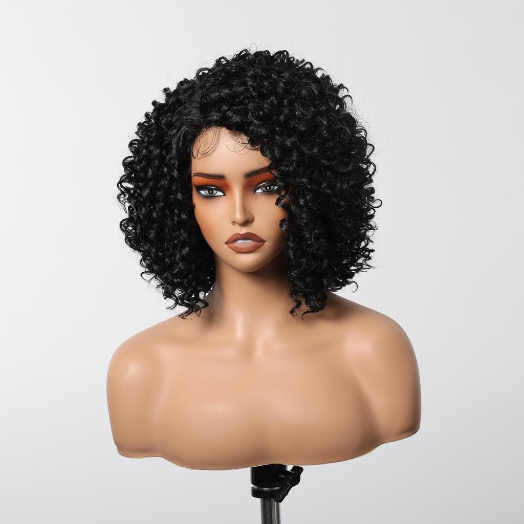 ALAN EATON  13x1  Lace Front Wig Black Short Deep Curly Wigs for Black Women Hair Daily Party High Density Heat Resistant