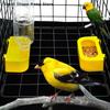 dailyLarge Capacity Automatic Water Dispenser For Bird Feeder Drinker Water Bottle Drinking Cups Quails Chicken Parrot Pigeons