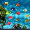 Vivid Landscape Moving Simulation Aquarium Ornament Fish Tank Decoration Fake Fish Artificial Fish