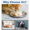 Cat Plates for Wet Food Non Slip Whisker Friendly Food Bowls Stainl Steel Shallow Wide Dishes for Indoor Cats 13Oz 10Pcs