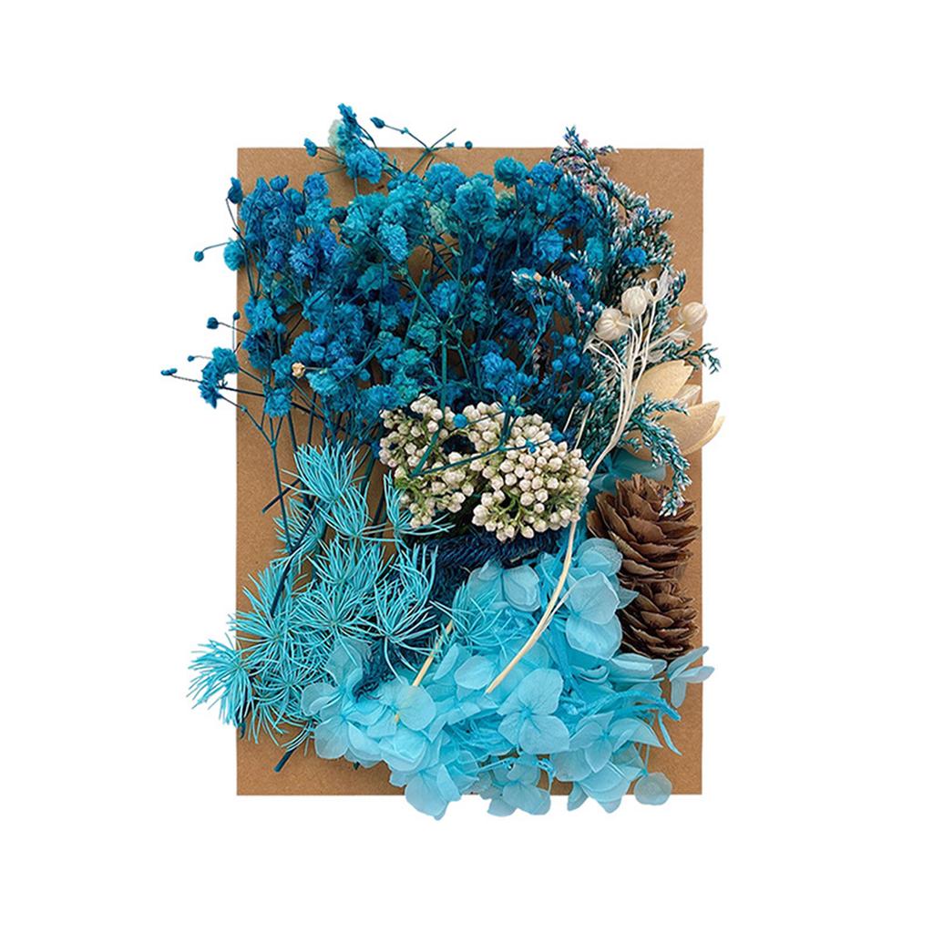 1 Bag Dried Flowers Pressed Dry Flower For DIY Phone Case Epoxy Resin Filling Pendant Jewelry Making Crafts Nail Art Decor