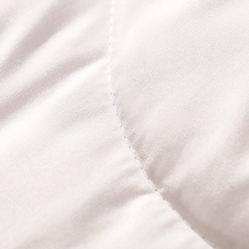 Fuanna Warm Antibacterial New Zealand Wool Winter Quilt